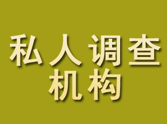 攸县私人调查机构